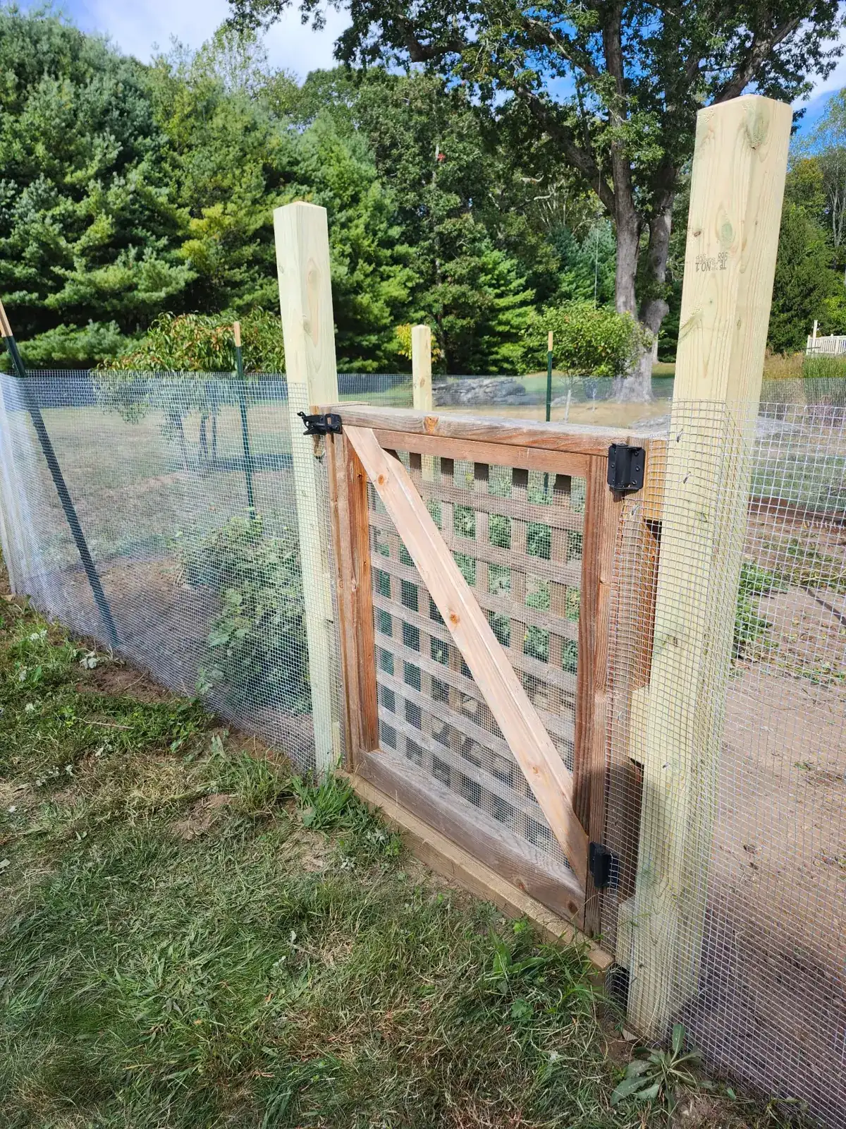 Cedar garden gate