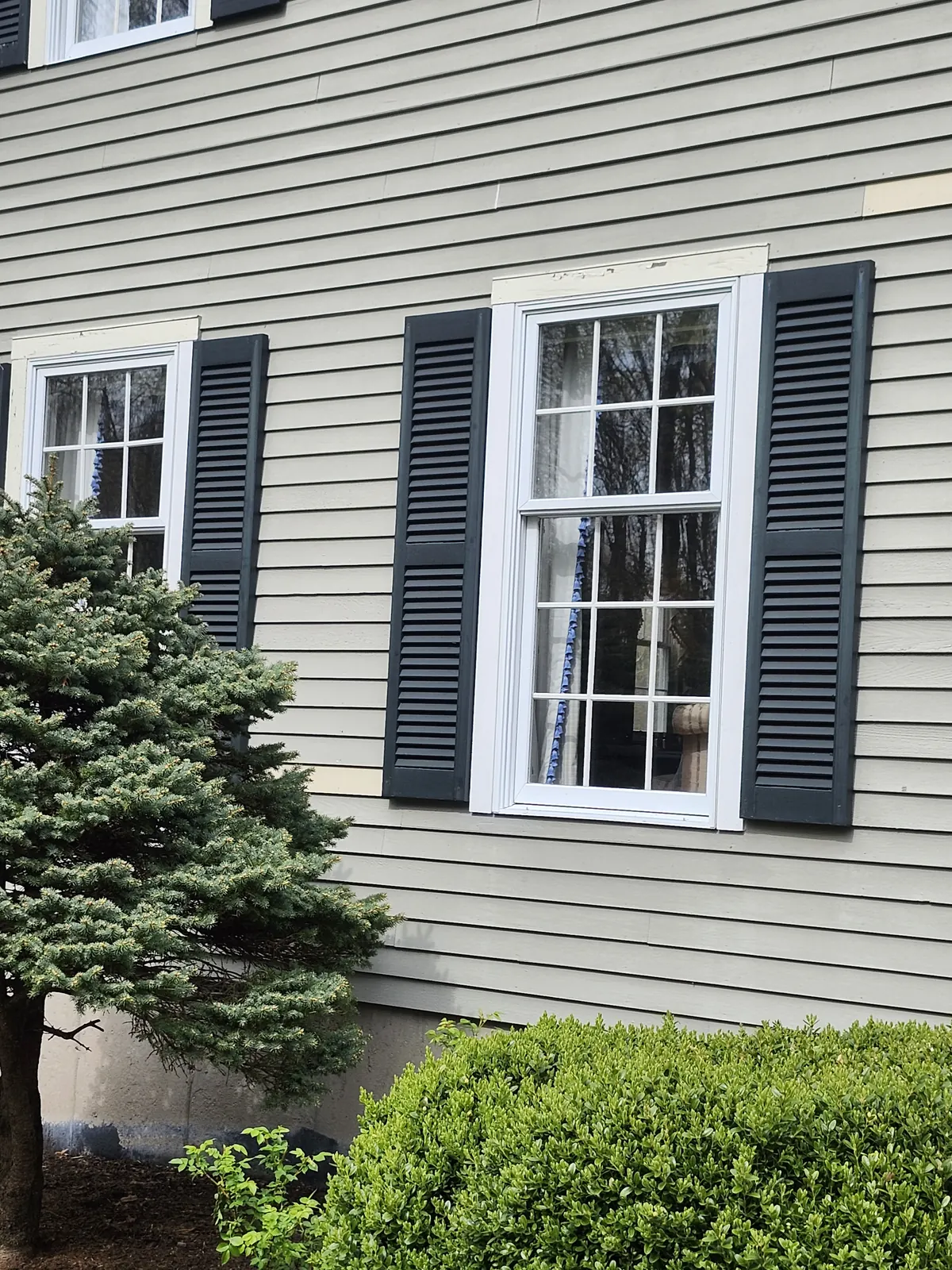 Windows and shutters