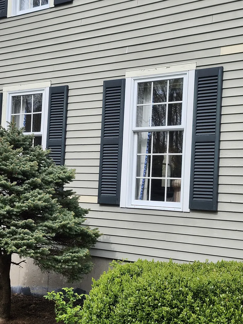 Windows and shutters